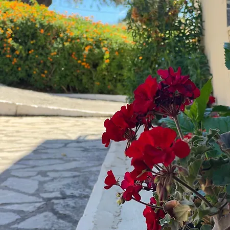 דירה Venias Place